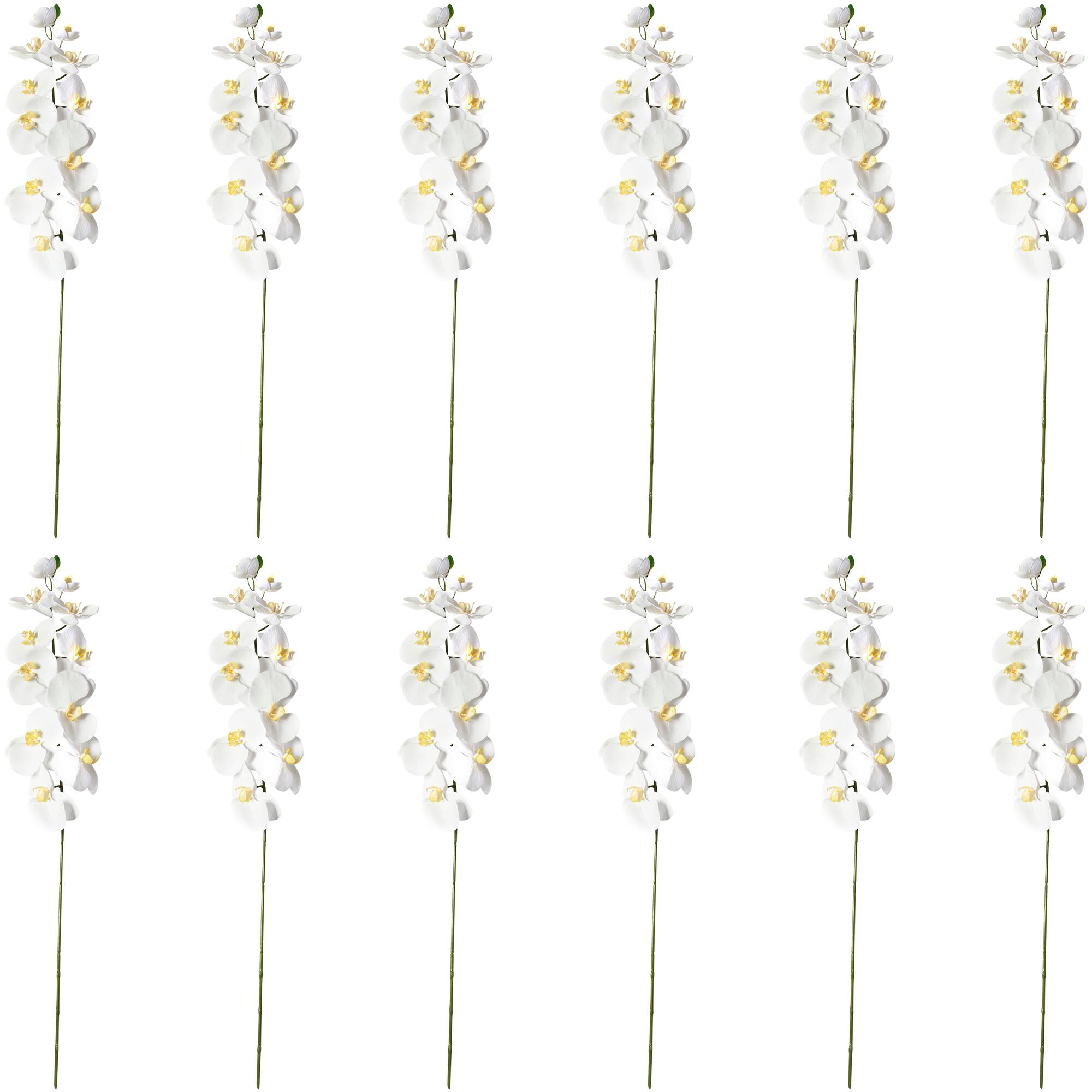12 Pack: White Orchid Stem by Ashland®